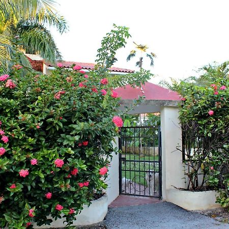 Sweet Home Punta Cana Guest House - Villa Q15A Exteriör bild