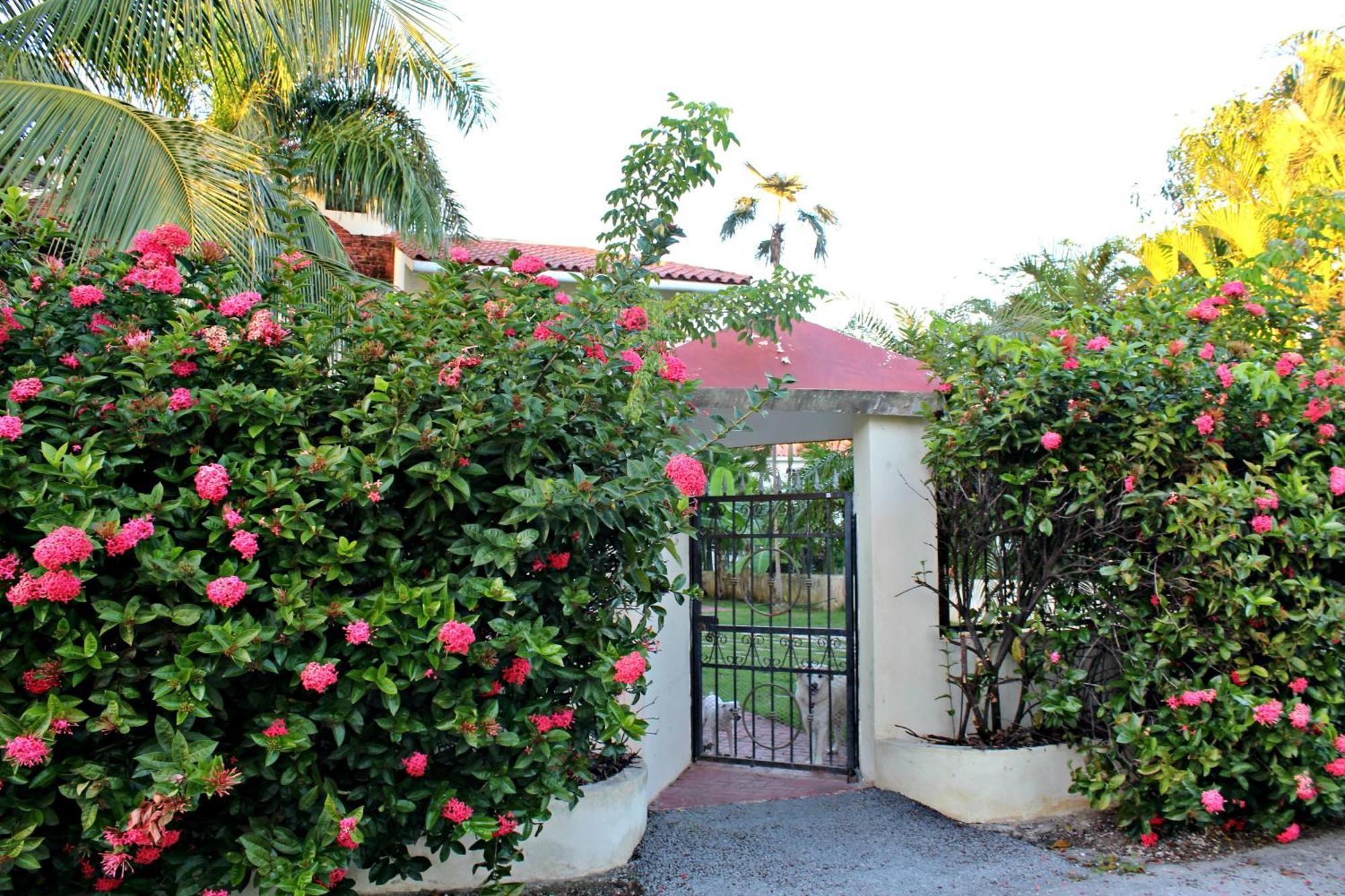Sweet Home Punta Cana Guest House - Villa Q15A Exteriör bild